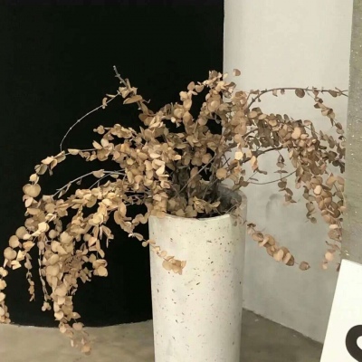 青山湖福瑞交流群